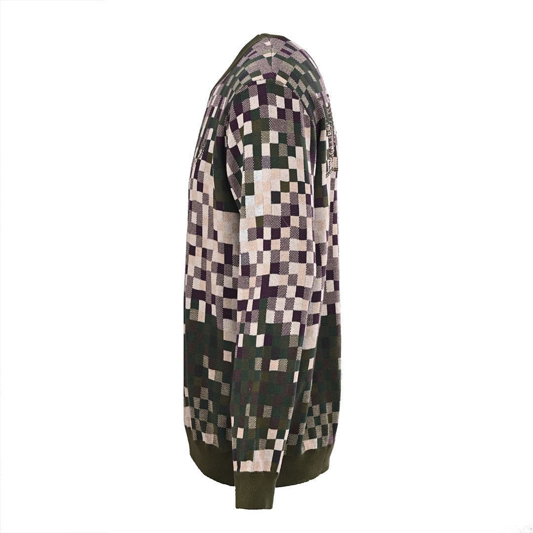 Louis Vuitton Trendy Sweatshirt
