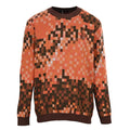 Louis Vuitton Trendy Sweatshirt
