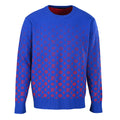 Louis Vuitton Trendy Sweatshirt
